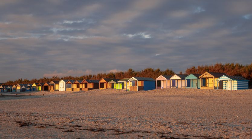 Photo of Elephant's Breath