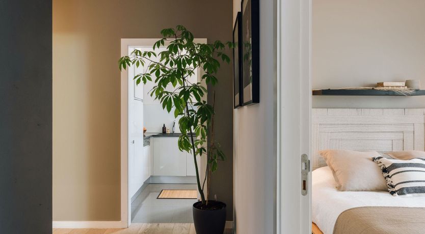 Photo of Bohemian Branches