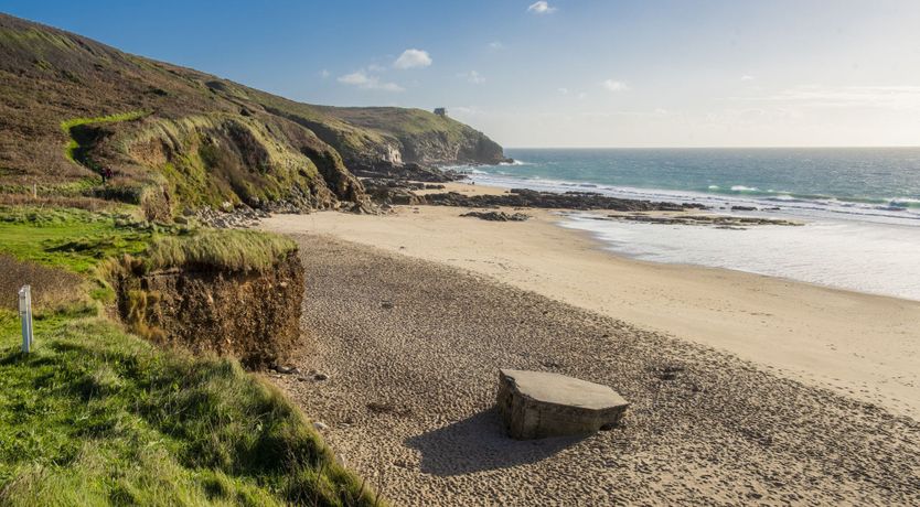 Photo of Cornish Nightingale