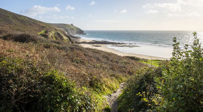 Photo of Cornish Nightingale