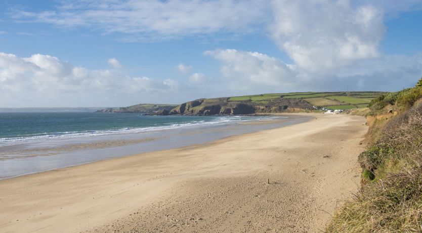Photo of Cornish Nightingale