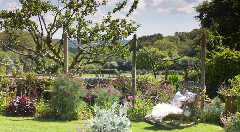 Photo of Draw the Dreamers