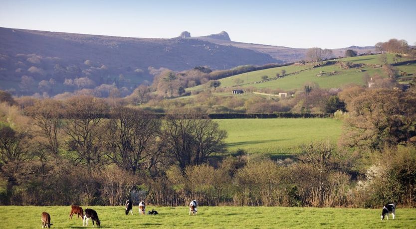 Photo of Draw the Dreamers