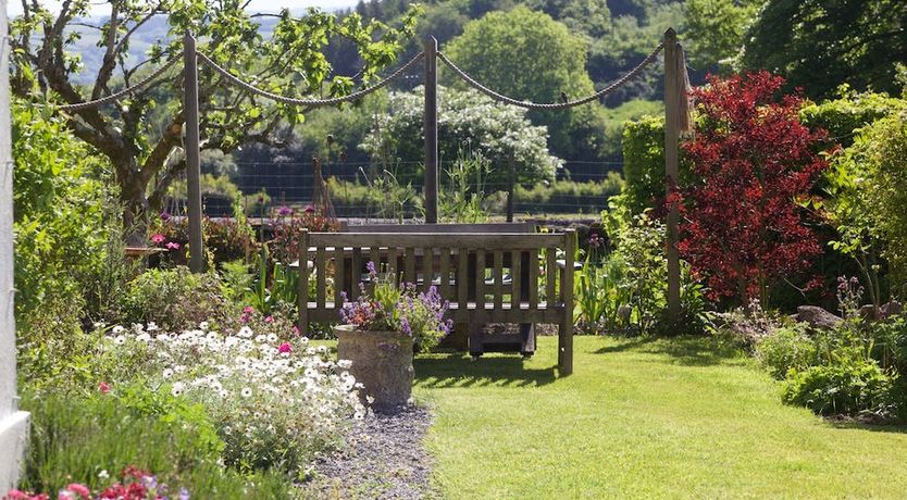 Photo of Draw the Dreamers