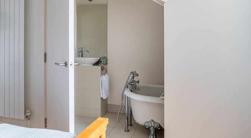 Photo of The Fossil Collector