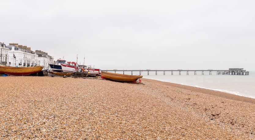 Photo of The Fossil Collector