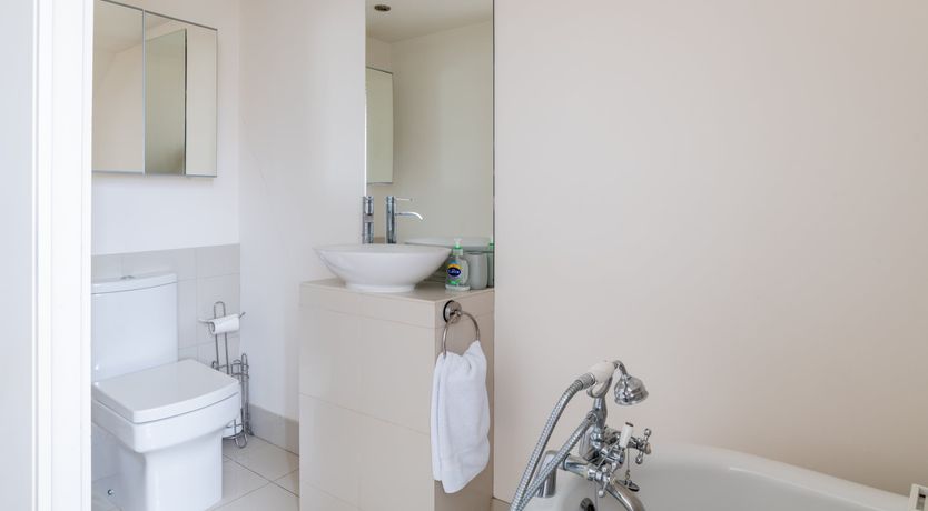 Photo of The Fossil Collector