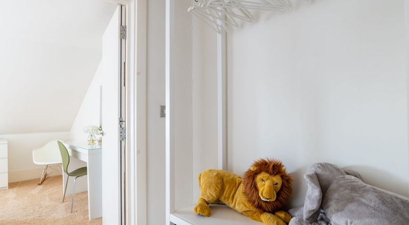 Photo of The Fossil Collector