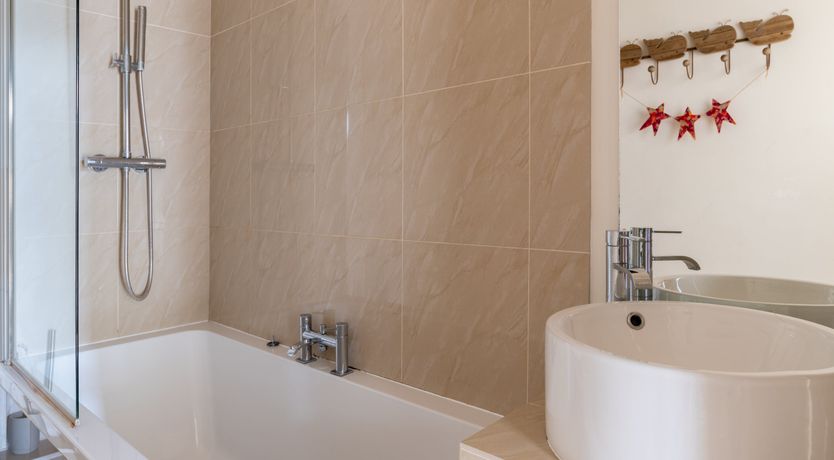 Photo of The Fossil Collector