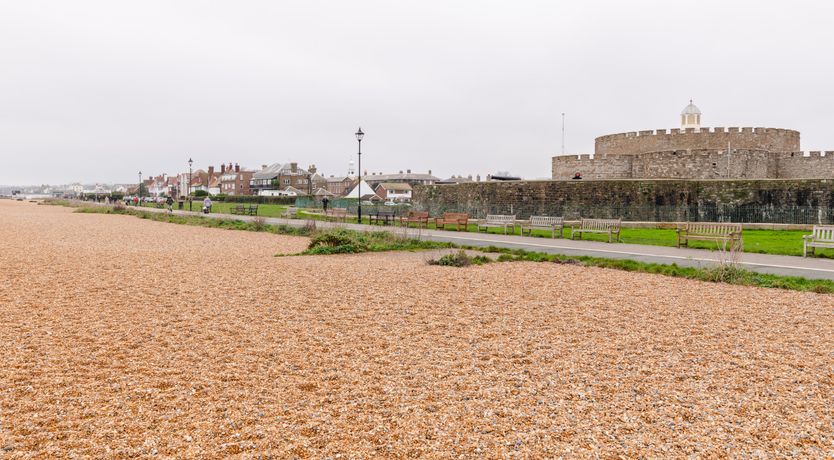 Photo of The Fossil Collector