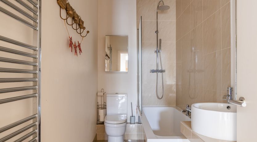 Photo of The Fossil Collector