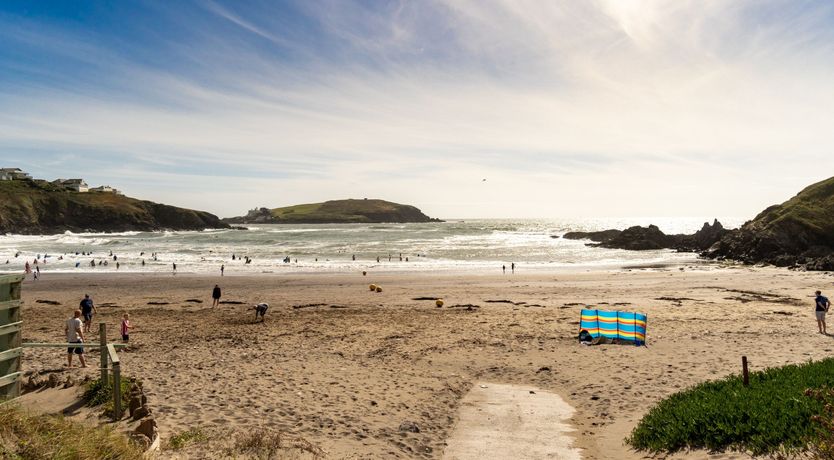 Photo of Fly Away Seabird