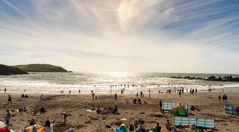 Photo of Fly Away Seabird