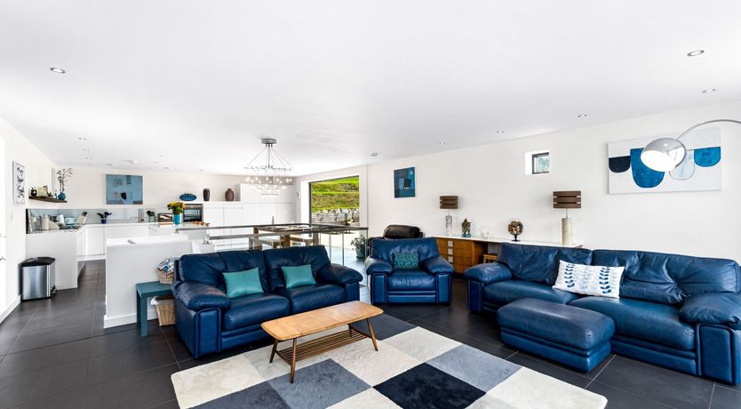 Photo of Fly Away Seabird