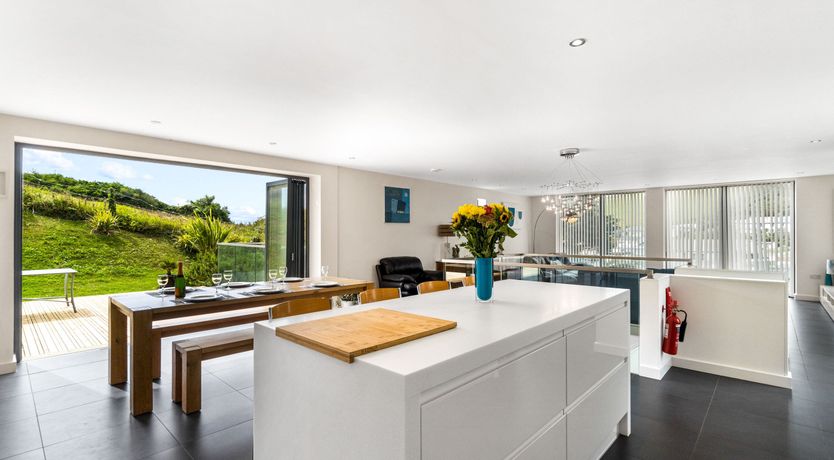 Photo of Fly Away Seabird