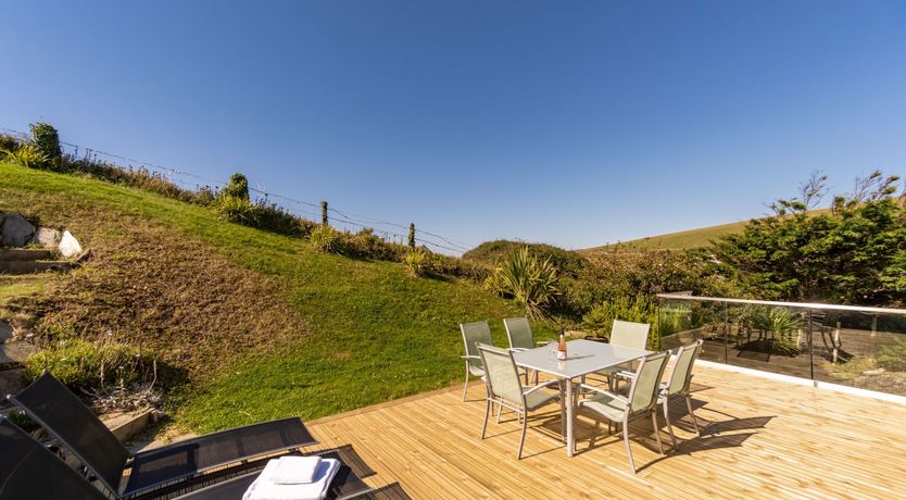 Photo of Fly Away Seabird