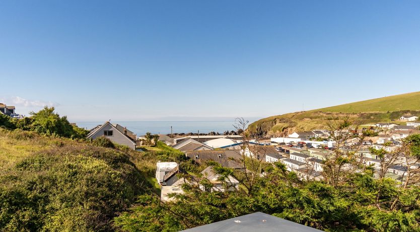 Photo of Fly Away Seabird