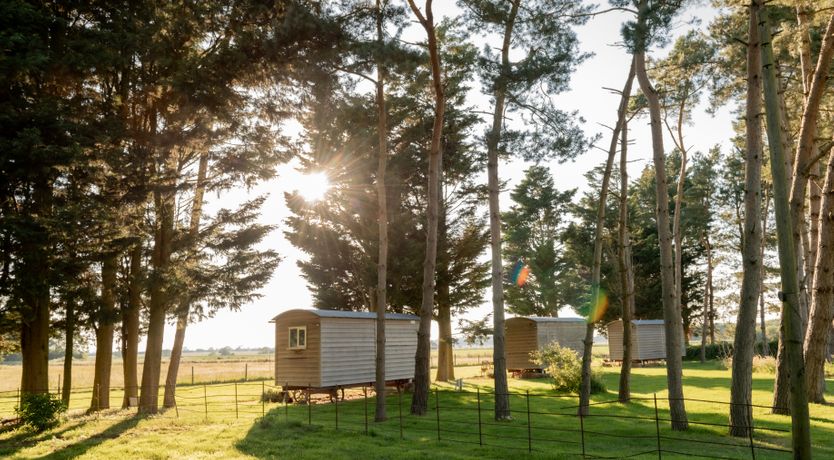 Photo of Astrophil & Stella