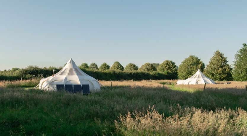 Photo of Astrophil & Stella