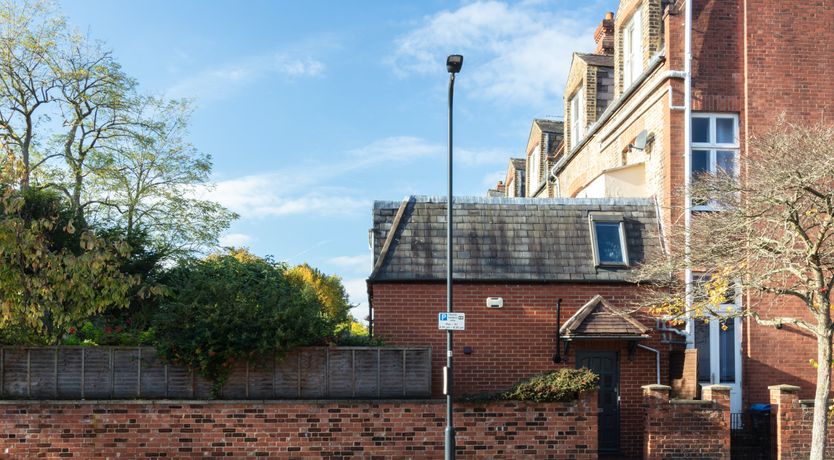 Photo of Turtle Doves