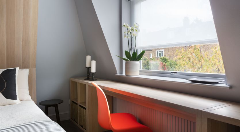 Photo of Turtle Doves