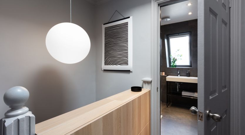 Photo of Turtle Doves