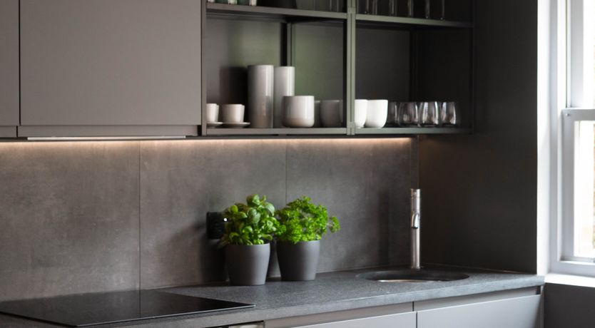 Photo of Turtle Doves