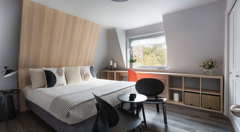 Photo of Turtle Doves