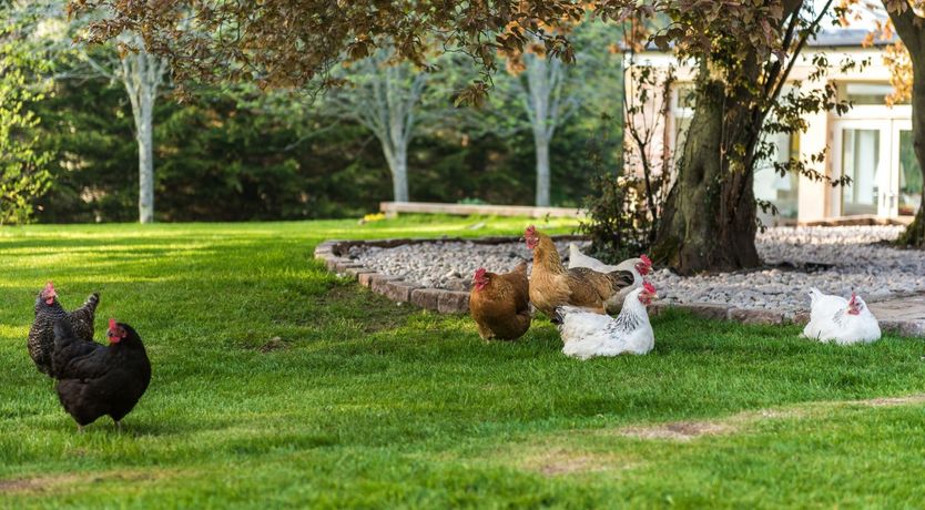 Photo of Sunshine on The Esk
