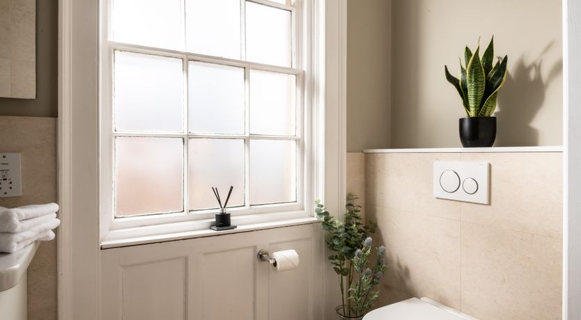 Photo of Peacocks & Petticoats