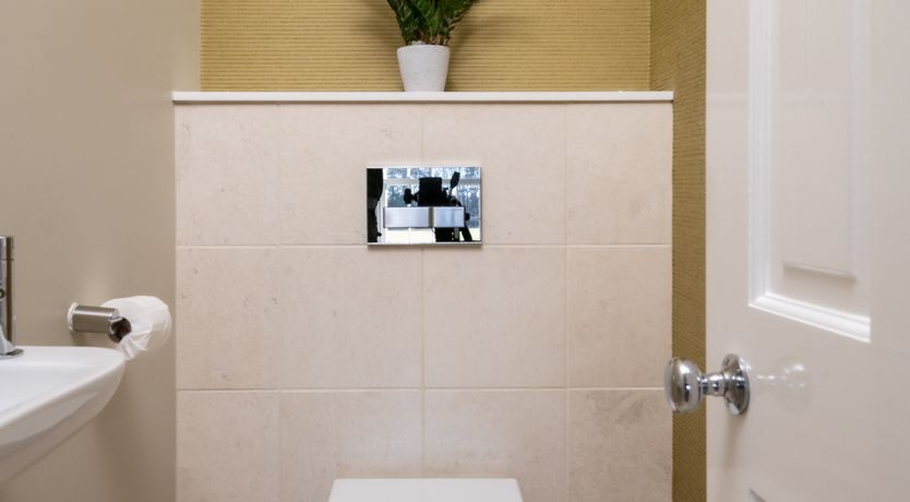 Photo of Peacocks & Petticoats