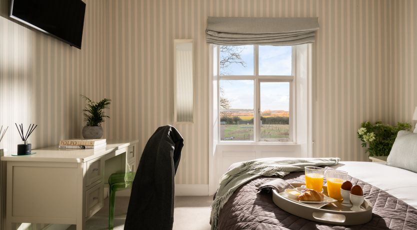 Photo of Peacocks & Petticoats