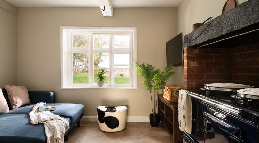 Photo of Peacocks & Petticoats