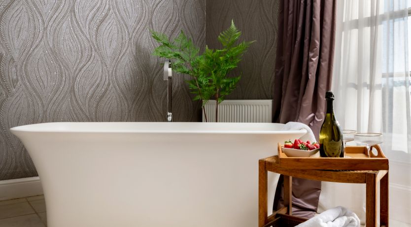 Photo of Peacocks & Petticoats