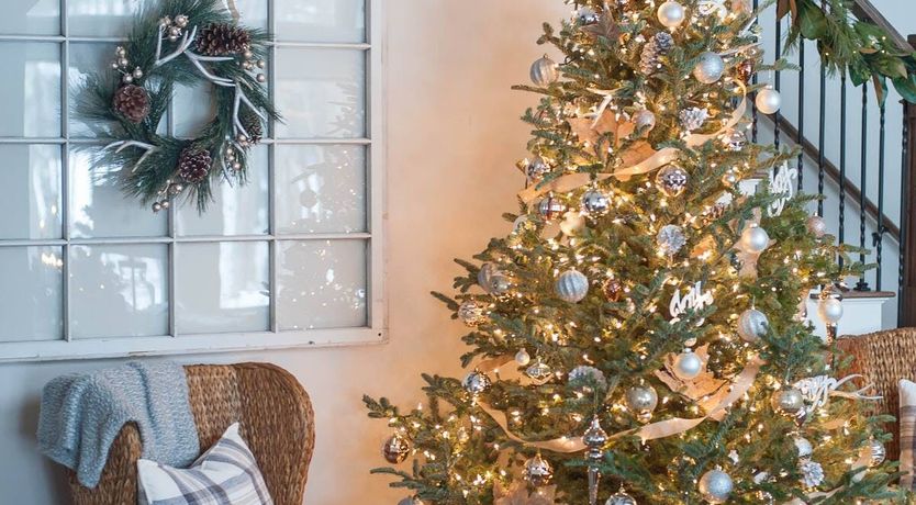 Photo of Life on the Lake