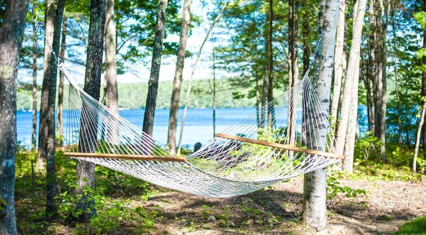 Photo of Life on the Lake