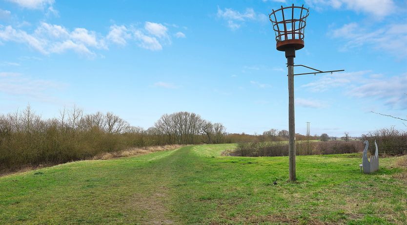 Photo of Where Doves Fly