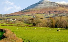 Photo of Cottage in Mid Wales