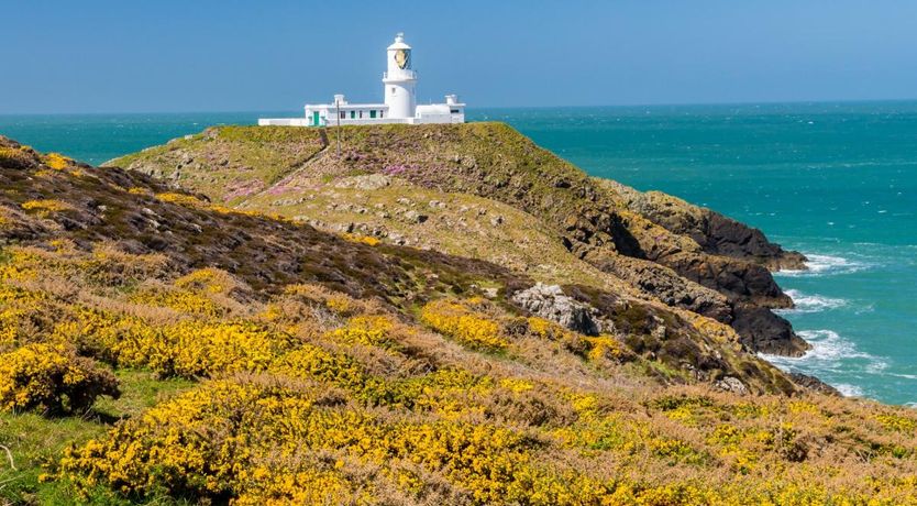 Photo of 1 Bed in Goodwick