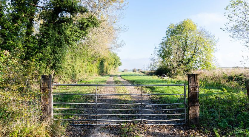 Photo of Down on the Range