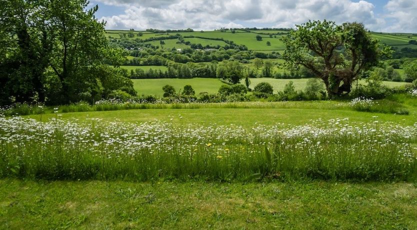 Photo of The Old School House