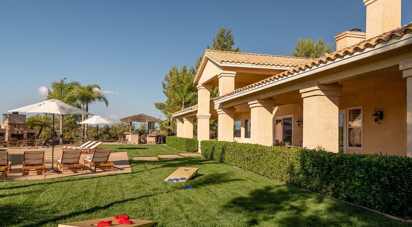 Photo of Straight From the Vine