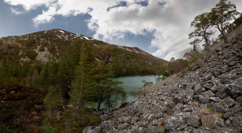 Photo of Highland Paradise