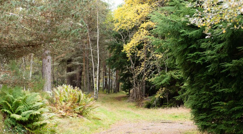 Photo of Highland Paradise