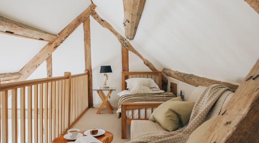 Photo of Long-Eared Owl