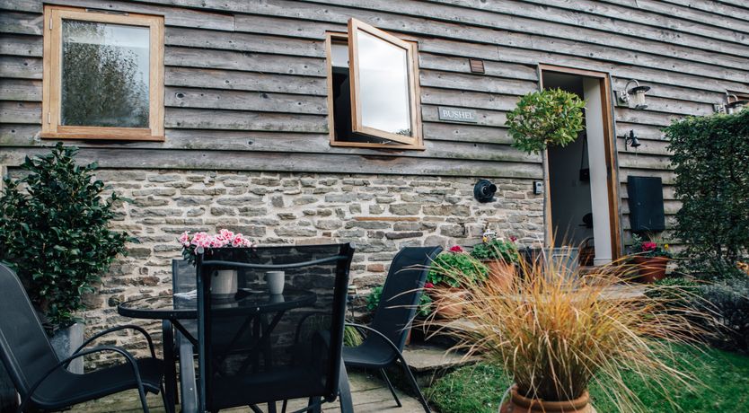 Photo of Long-Eared Owl