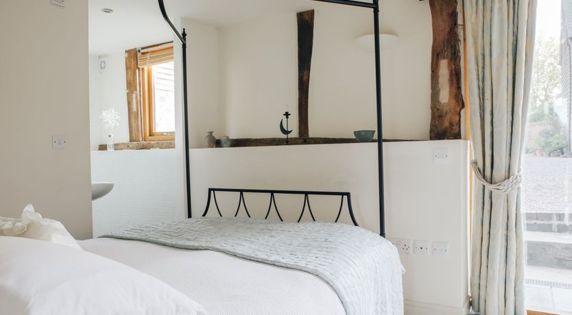 Photo of Long-Eared Owl