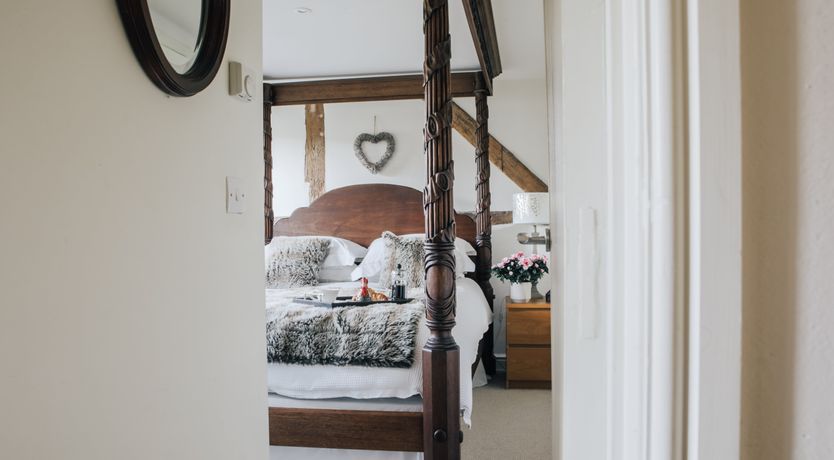 Photo of Long-Eared Owl