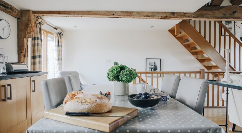 Photo of Long-Eared Owl