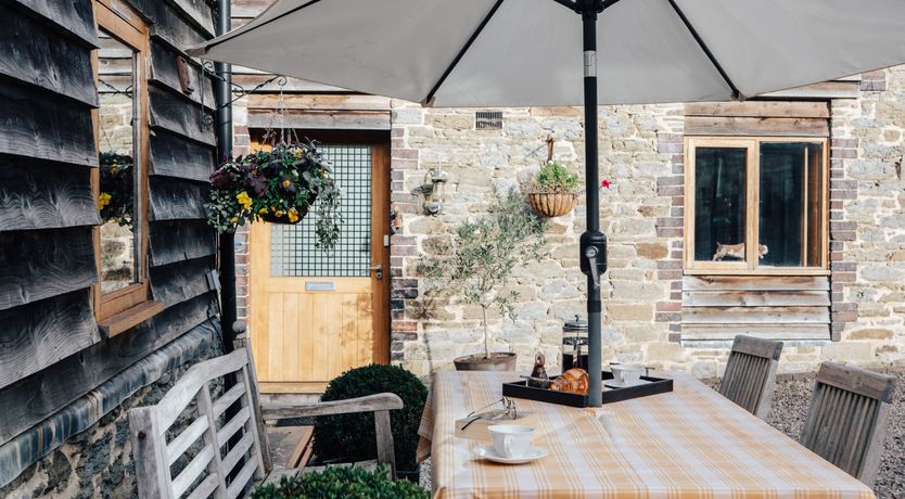 Photo of Long-Eared Owl